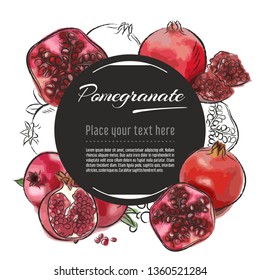 Vector sketch pomegranate banner on white background. With place for text. Hand drawn sketch fruit graphic design	