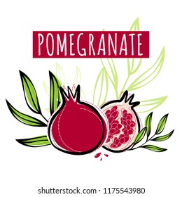 Vector sketch pomegranate fruit decorated with leaves. Hand drawn vector illustration for labels, restaurant menu, market label or package or another design
