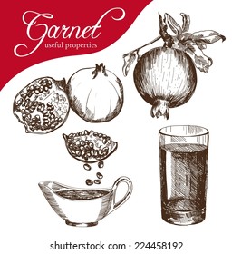 vector sketch of a Pomegranate fruit, made by hand