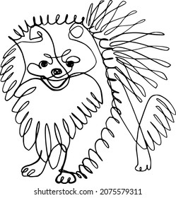 The vector sketch of the Pomeranian Spitz