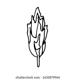 Vector sketch of poplar tree in black ink isolated on white. Lonely tree you cartoon style