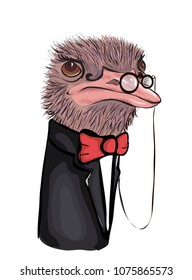 Vector sketch portret of Ostrich in suit and pince-nez