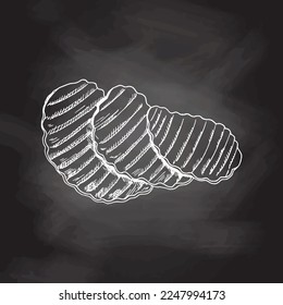 Vector sketch of potato crisps. White sketch isolated on black chalkboard.  Eco food vintage vector illustration. Illustration for print, web, mobile and infographics isolated on white background.