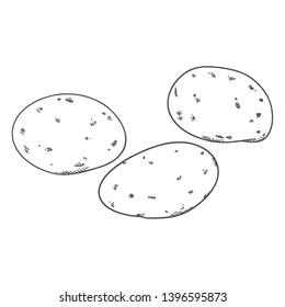 Vector Sketch Potato Illustrations on Isolated White Background