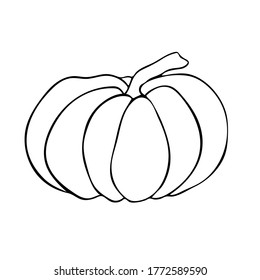 Vector sketch pumpkin. Hand drawn vector illustration in Doodle style. Can be used for vegan products, brochures, banner, restaurant menu, farmers market and organic food store