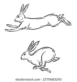 vector sketch of a rabbit running in two poses with a unique but very cool design