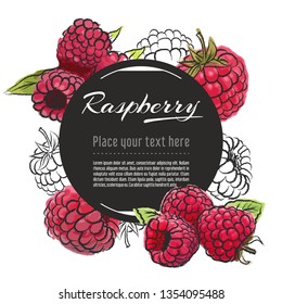 Vector sketch raspberry banner on white background. With place for text. Hand drawn sketch fruit graphic design	