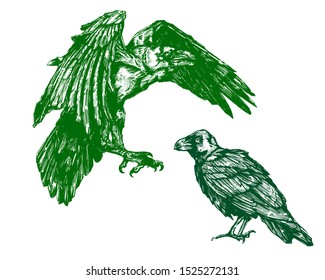 Vector sketch of raven. Illustration of corbie