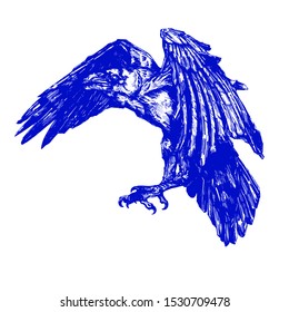 Vector sketch of raven. Illustration of corbie