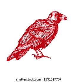 Vector sketch of raven. Illustration of corbie