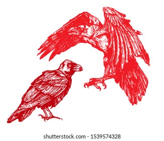 Vector sketch of raven. Illustration of corbie