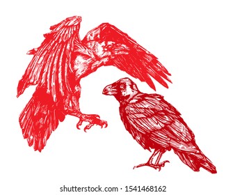 Vector sketch of raven. Illustration of corbie