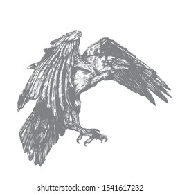 Vector sketch of raven. Illustration of corbie