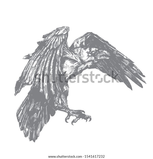 Vector Sketch Raven Illustration Corbie Stock Vector (Royalty Free ...