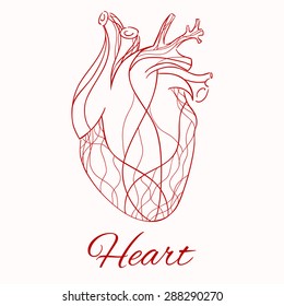 Vector Sketch Of The Real Heart Of The Red Lines