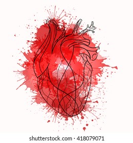 Vector Sketch Of The Real Heart Of The Red Lines With Watercolor Splashes