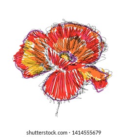Vector sketch red poppy on white background