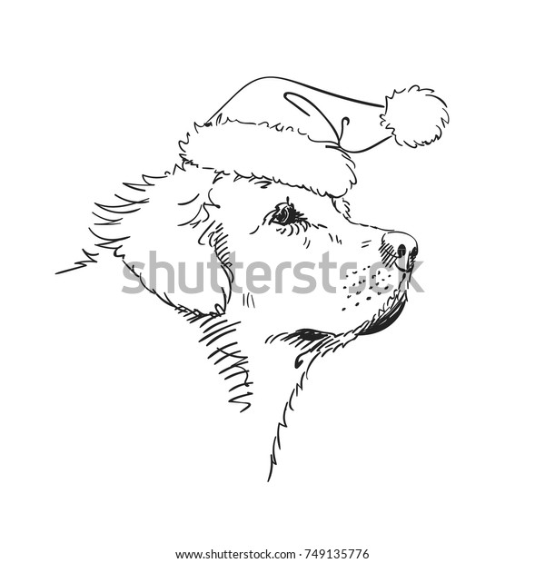 Vector Sketch Retriever Dogs Muzzle Santas Stock Vector (Royalty Free ...