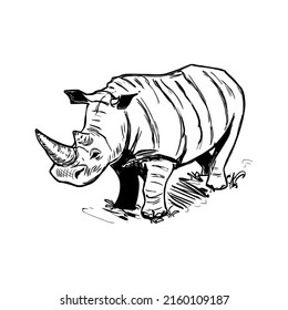 Esbozo vectorial de un rinoceronte. Dibujo a mano alzada rápido con estilo doodle aislado en fondo blanco.