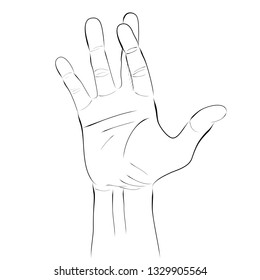Vector Sketch, Right Hand Lie Gesture
