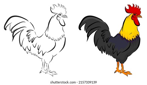 Vector Sketch Rooster, Isolated on White
