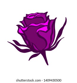 Vector sketch of rose isolated