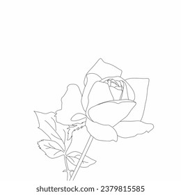 vector sketch of roses on a white background as a children's coloring book