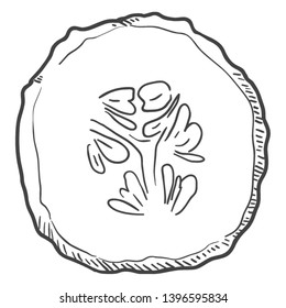 Vector Sketch Round Slice of Cucumber