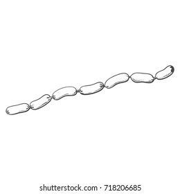 vector sketch sausages chain. Cartoon isolated illustration on a white background. Sausage and meat types concept