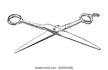 Vector sketch of scissors for a hairstyle. Hand drawn illustration.