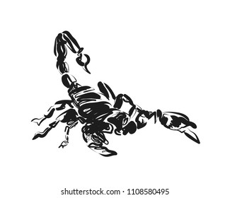 Vector sketch scorpion