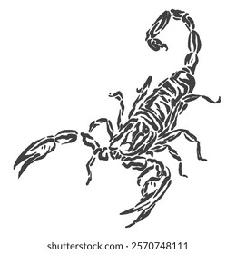 vector sketch of a scorpion with a unique design but very elegant and powerful