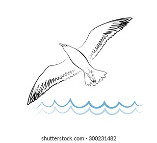 Vector sketch of sea gull stylized. Logo template and icon. Creative vector design concept.