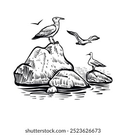 Vector sketch of sea landscape with seagulls flying and sitting on the rock. Black and white illustration of coastal tranquil nature.