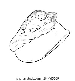 Vector sketch of sea shell. Hand draw illustration.
