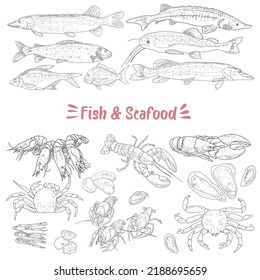 Vector sketch seafood with vintage flatfish, trout, lobster sea delicacies food and fish. Seafood delicacy, restaurant and marine cuisine cafe menu, packaging design.