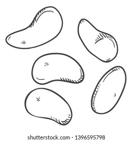 Vector Sketch Set of Beans on Isolated White Background