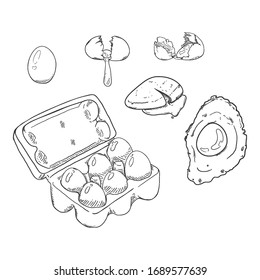 Vector Sketch Set of Eggs. Raw and Cooked Egg Illustration.