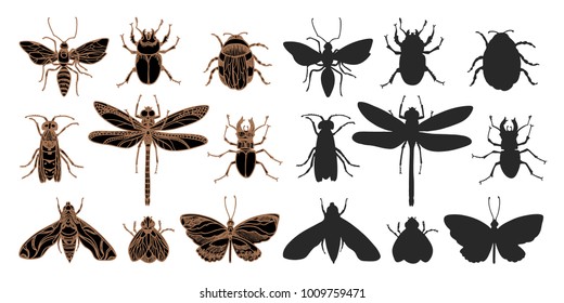 Vector sketch set of insect on white background Realistic silhouette symbol Shape elements for your nature design. Doodle illustration isolated for easy editing Real life Summer art line design Eps.10