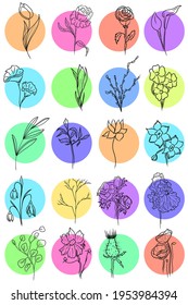 The vector sketch set of spring and summer flowers on colorful rounds. 