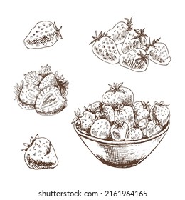 Vector  sketch set  of  strawberries. Hand drawn  illustration.  Summer berries.  Great for label, poster, print.
