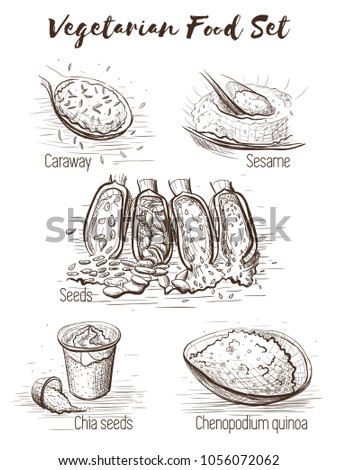 Vector sketch set of vegetarian food. Eco food. Vegetarian food isolated on white background.