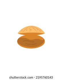 Vector Sketch Shell isolated on white background.
