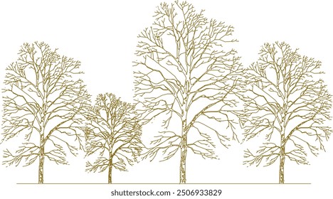 Boceto de Vector, ilustración de silueta, diseño de dibujo detallado, colección de árboles únicos abstractos en el bosque con muchas ramas para el verdor