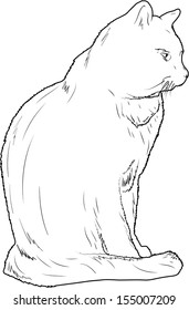 Vector sketch of sitting cat on a white background