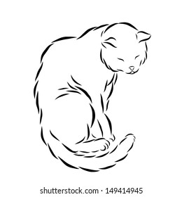 Vector sketch, sitting white cat