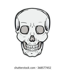 Vector sketch skull