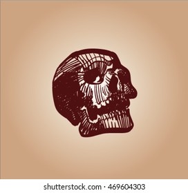 vector sketch of skull