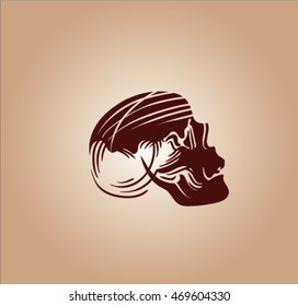 vector sketch of skull