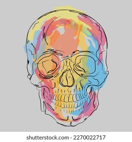 Vector sketch skull with watercolor brush strokes